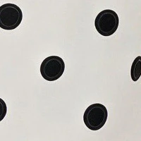 Wide Leg Polka Dot Pleated Pants - Image 5